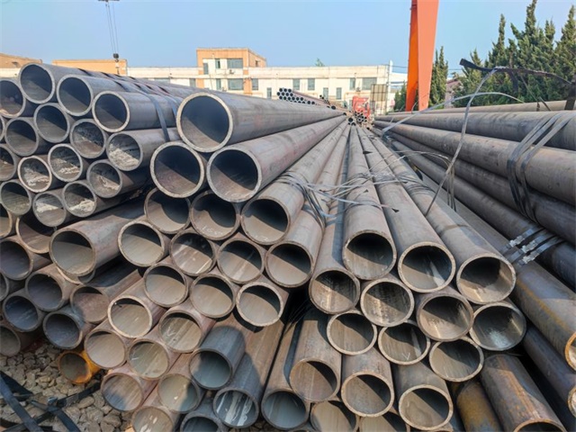 IMG_20230401_153754.jpg IMG_20230401_153754.jpg