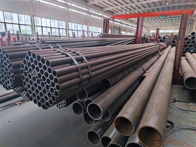 IMG_20230415_103902.jpg IMG_20230415_103902.jpg